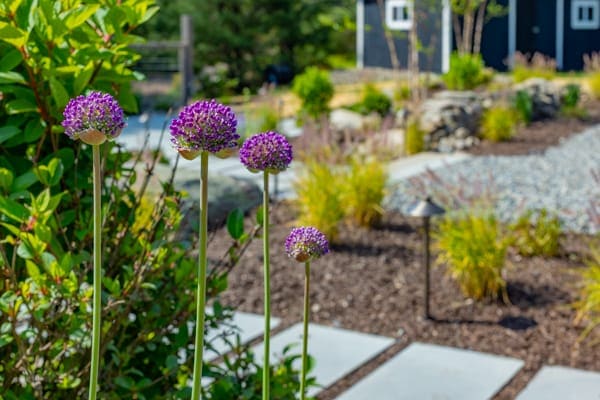 Beautiful landscape design