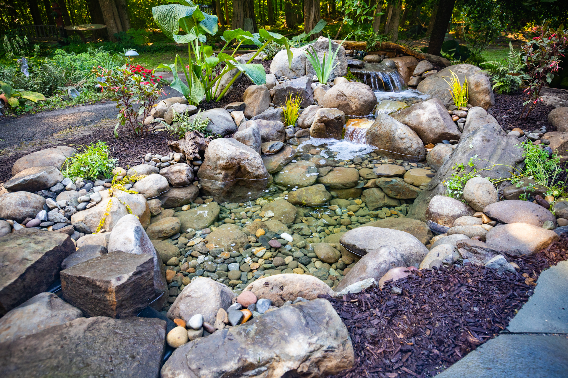 Koi pond aerial view