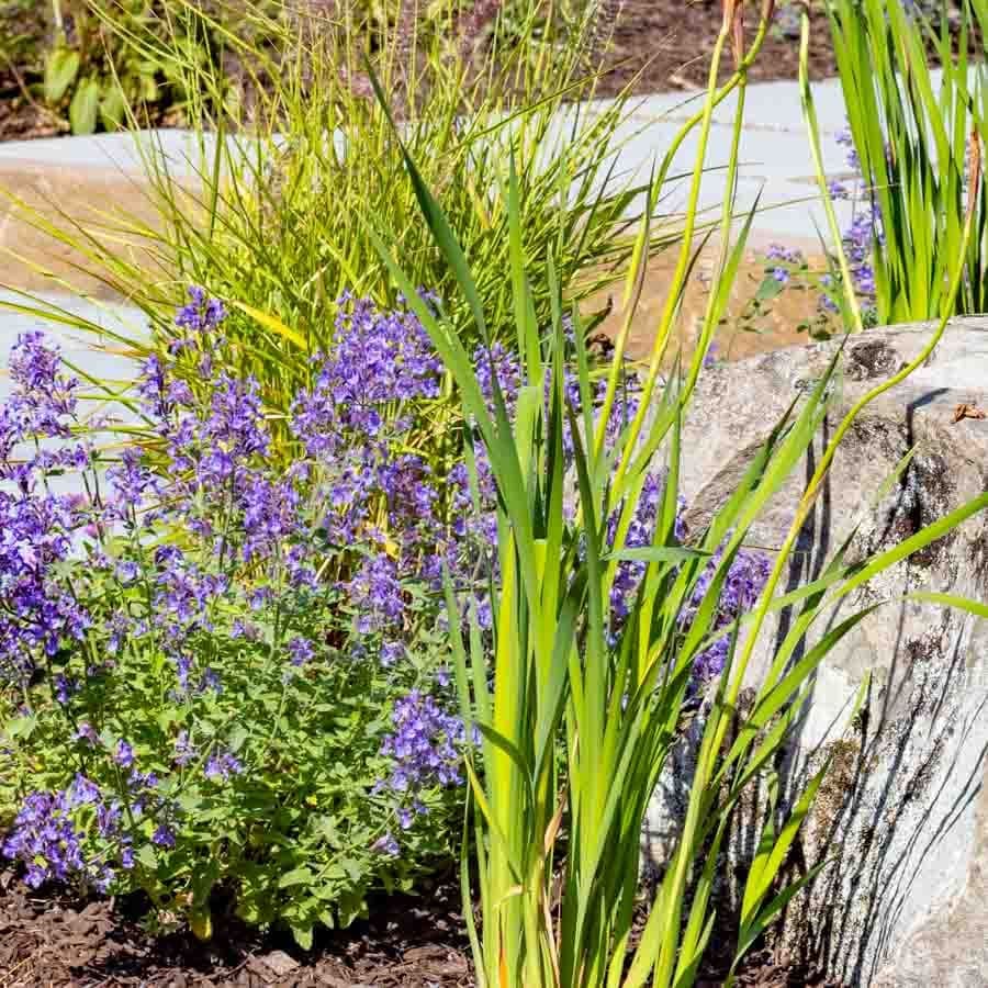 GoGreen Craftsmanship