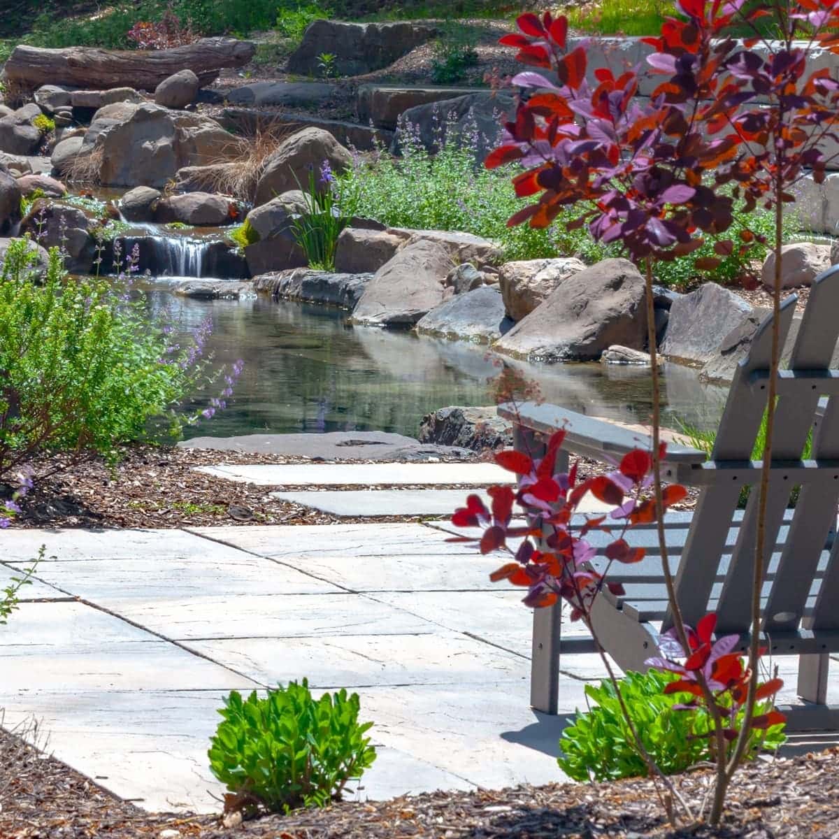 Natural Sim Pond
