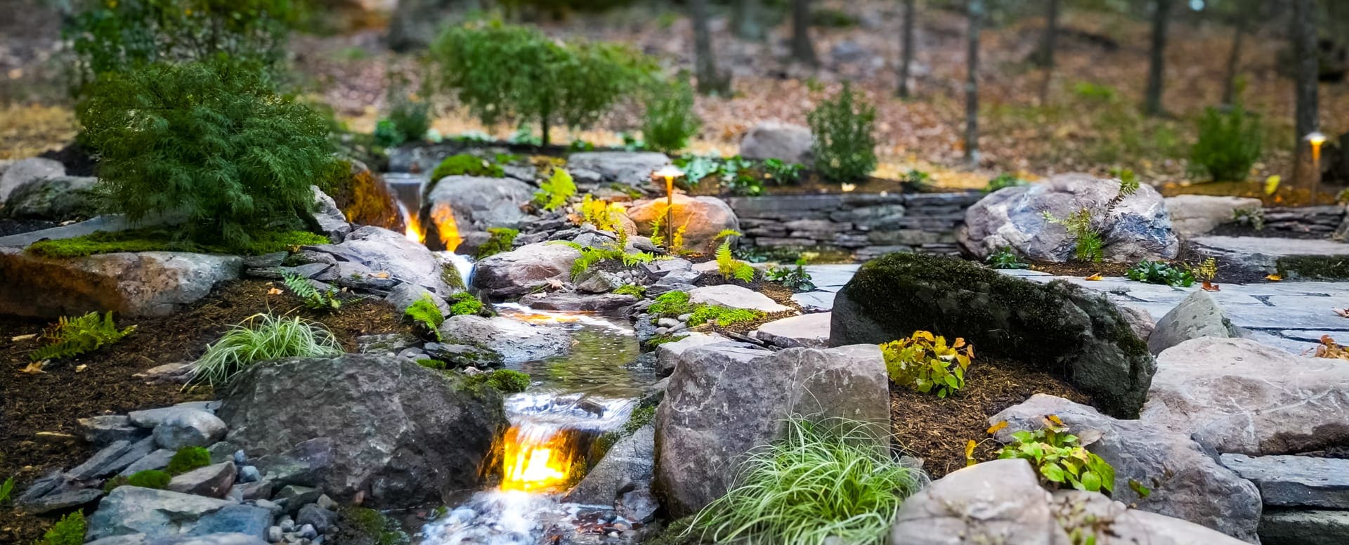 The wellness investment