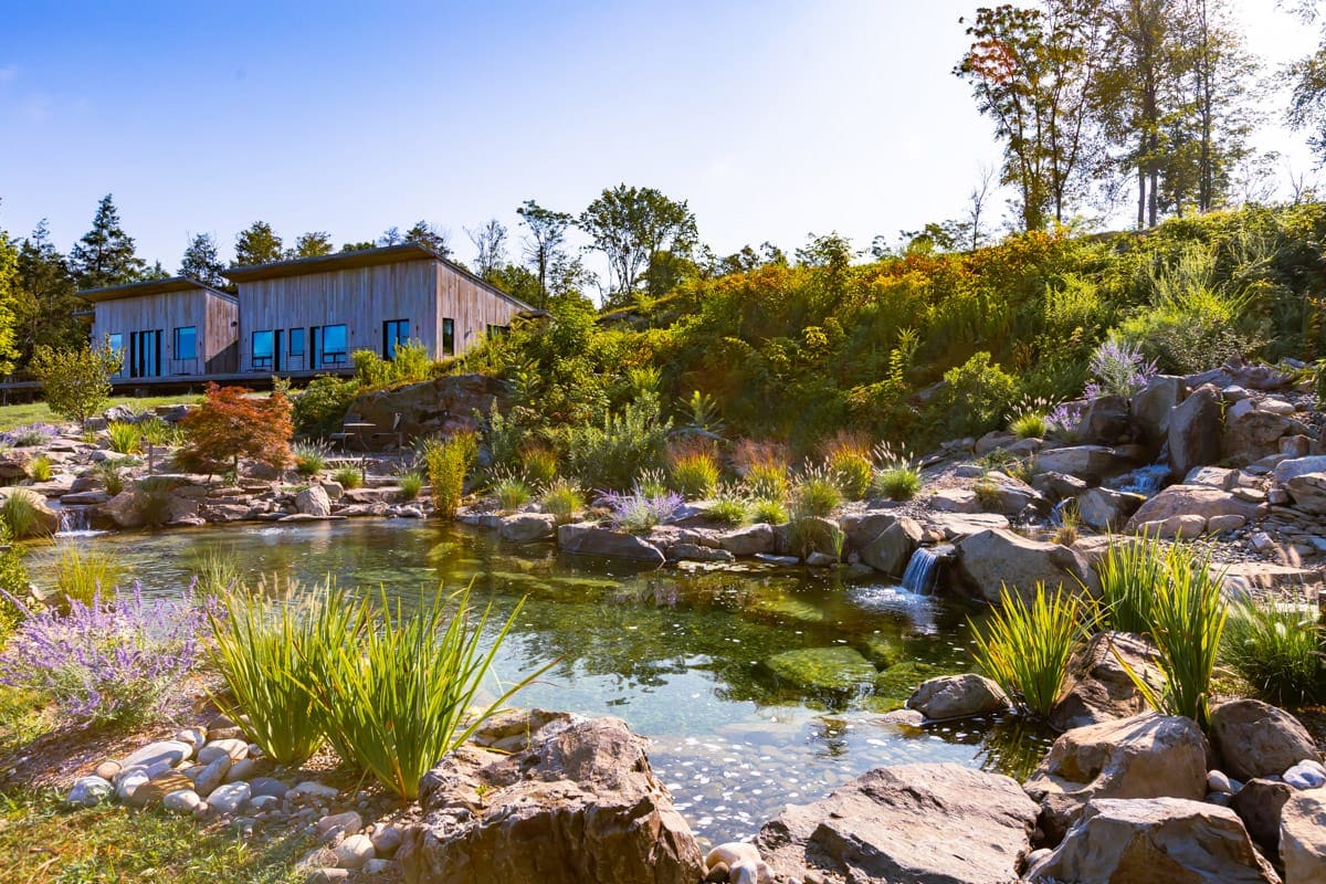 Modern Serenity
