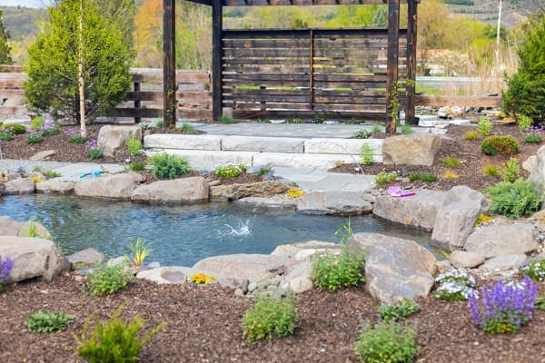 Koi pond