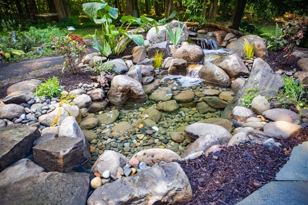 Koi pond