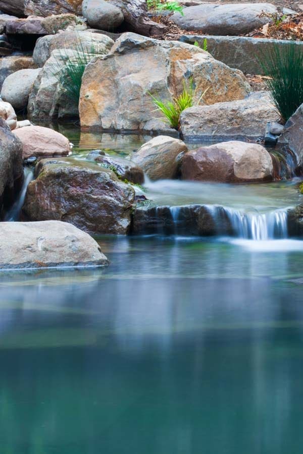Aquatic planting