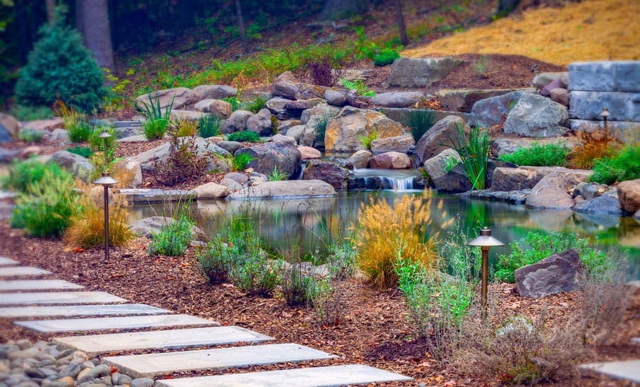Natural swimming pond