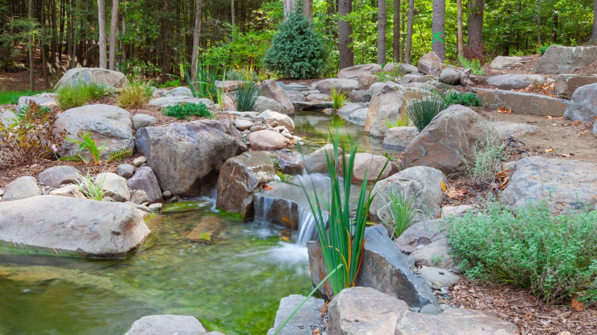 Peak Farm Falls
