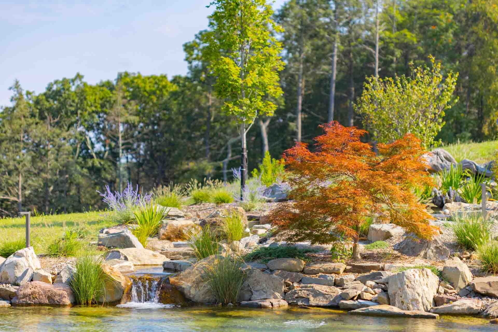 Luxury swim pond with outdoor living
